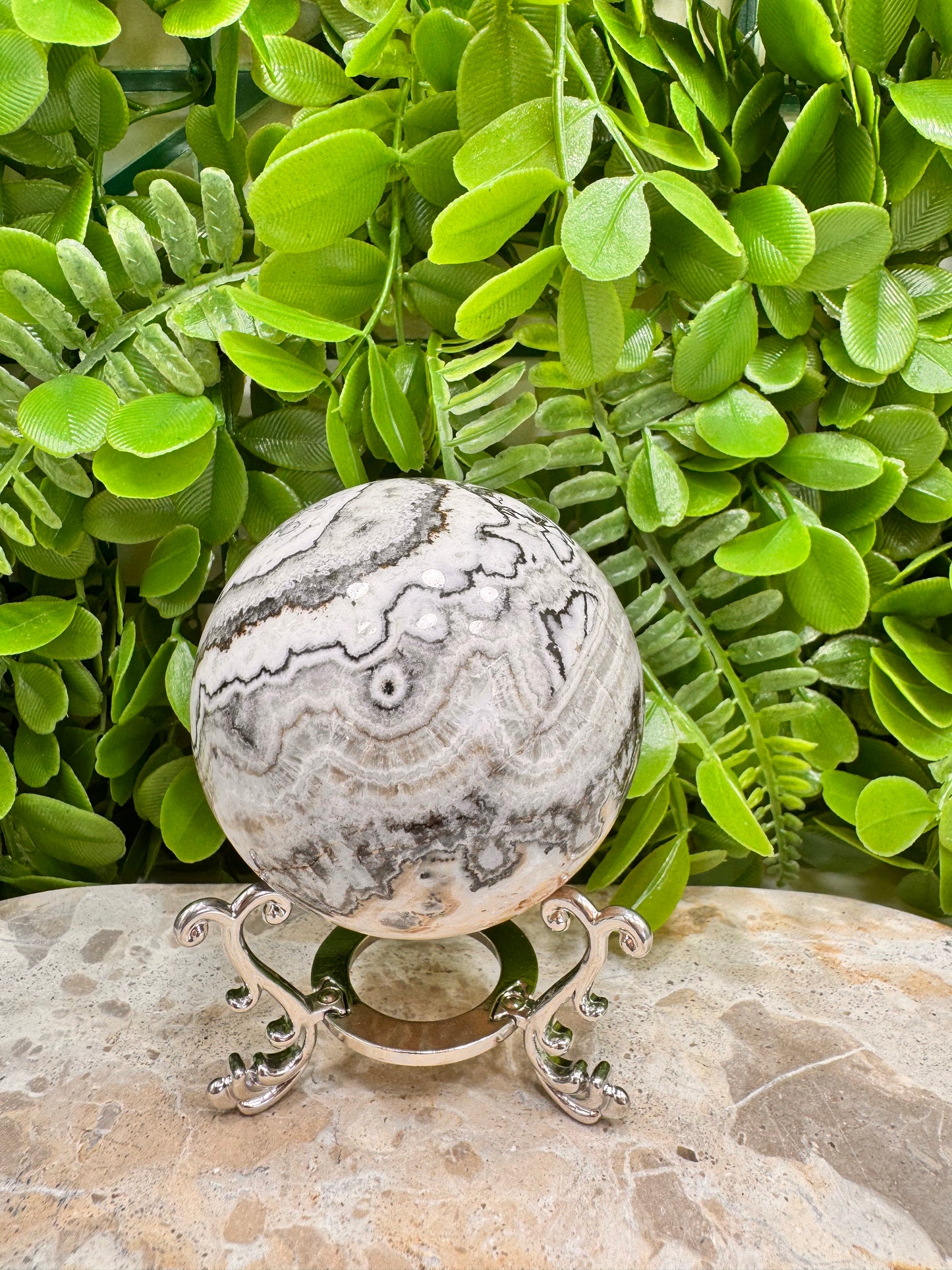 Dendritic Ocean Root Jasper Sphere 474g