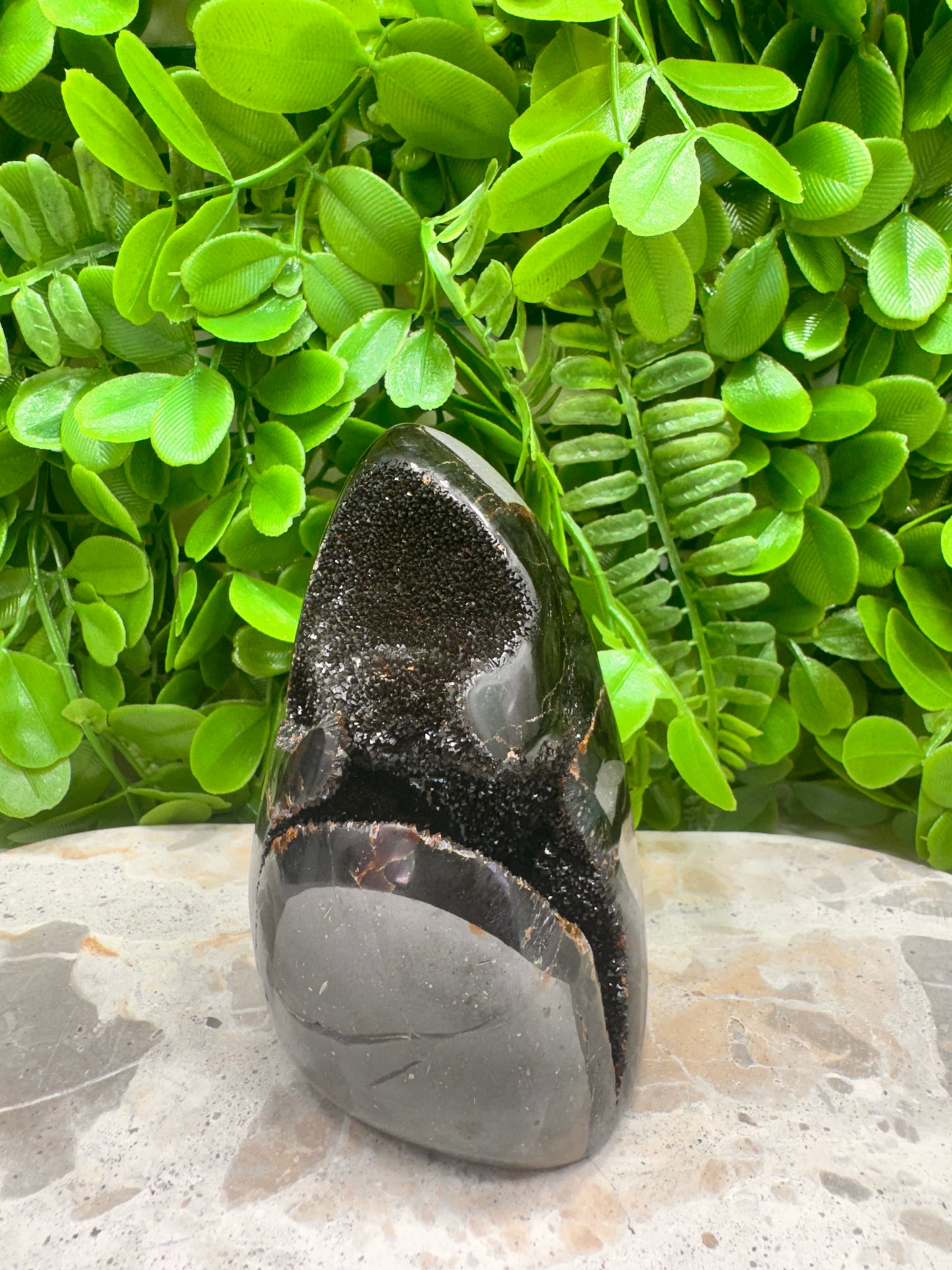 Septarian Freeform 570g