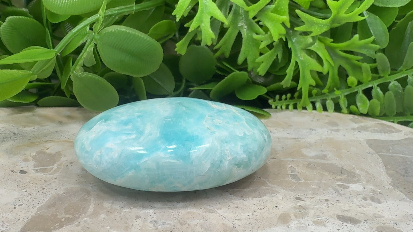 Aragonite Palm Stone 106g