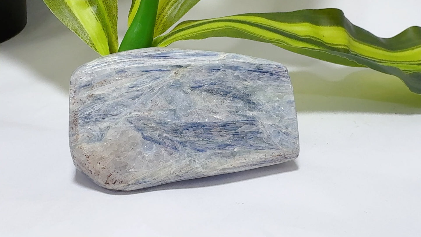 Kyanite Freeform 266g