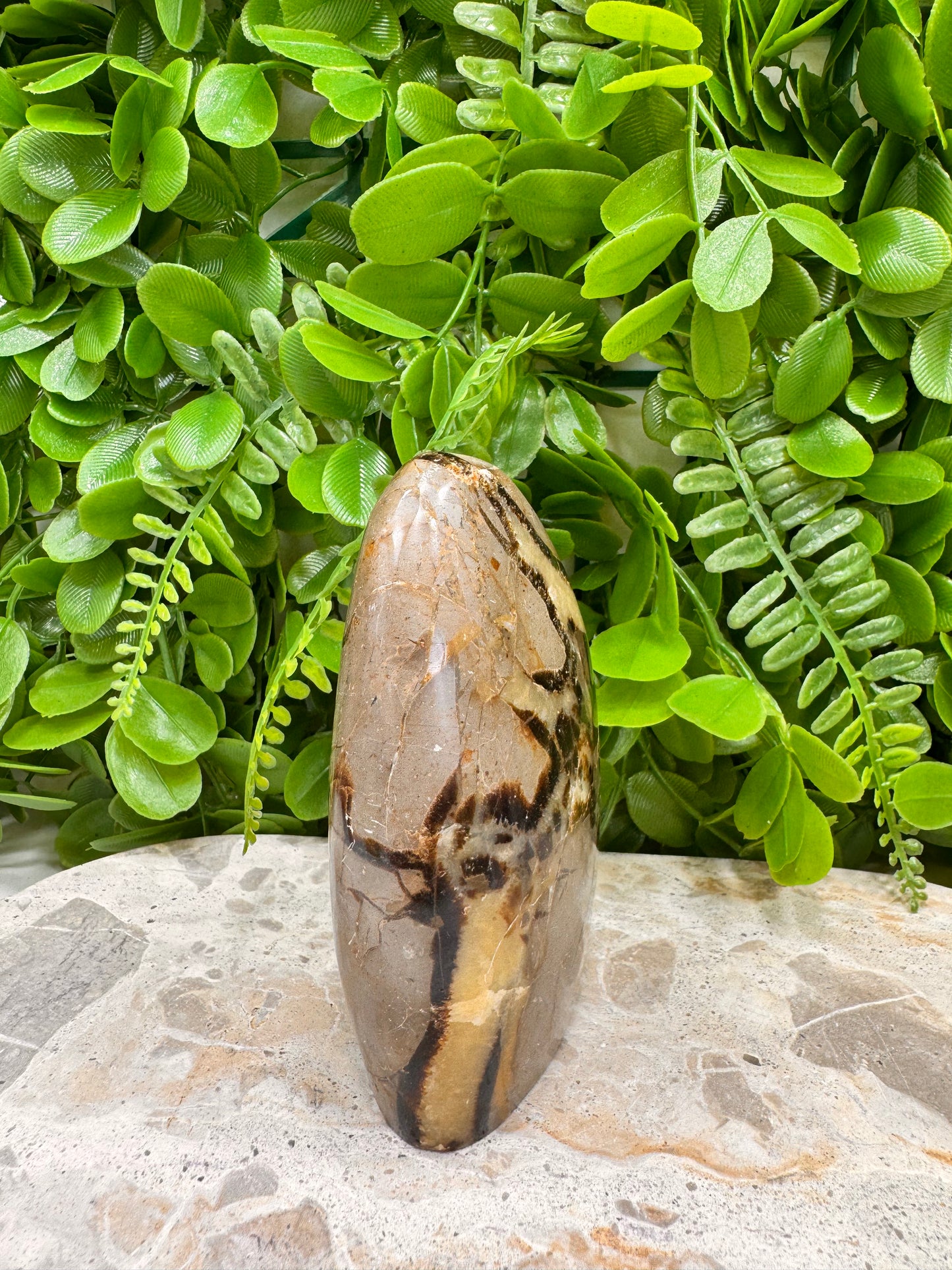 Septarian Freeform 456g