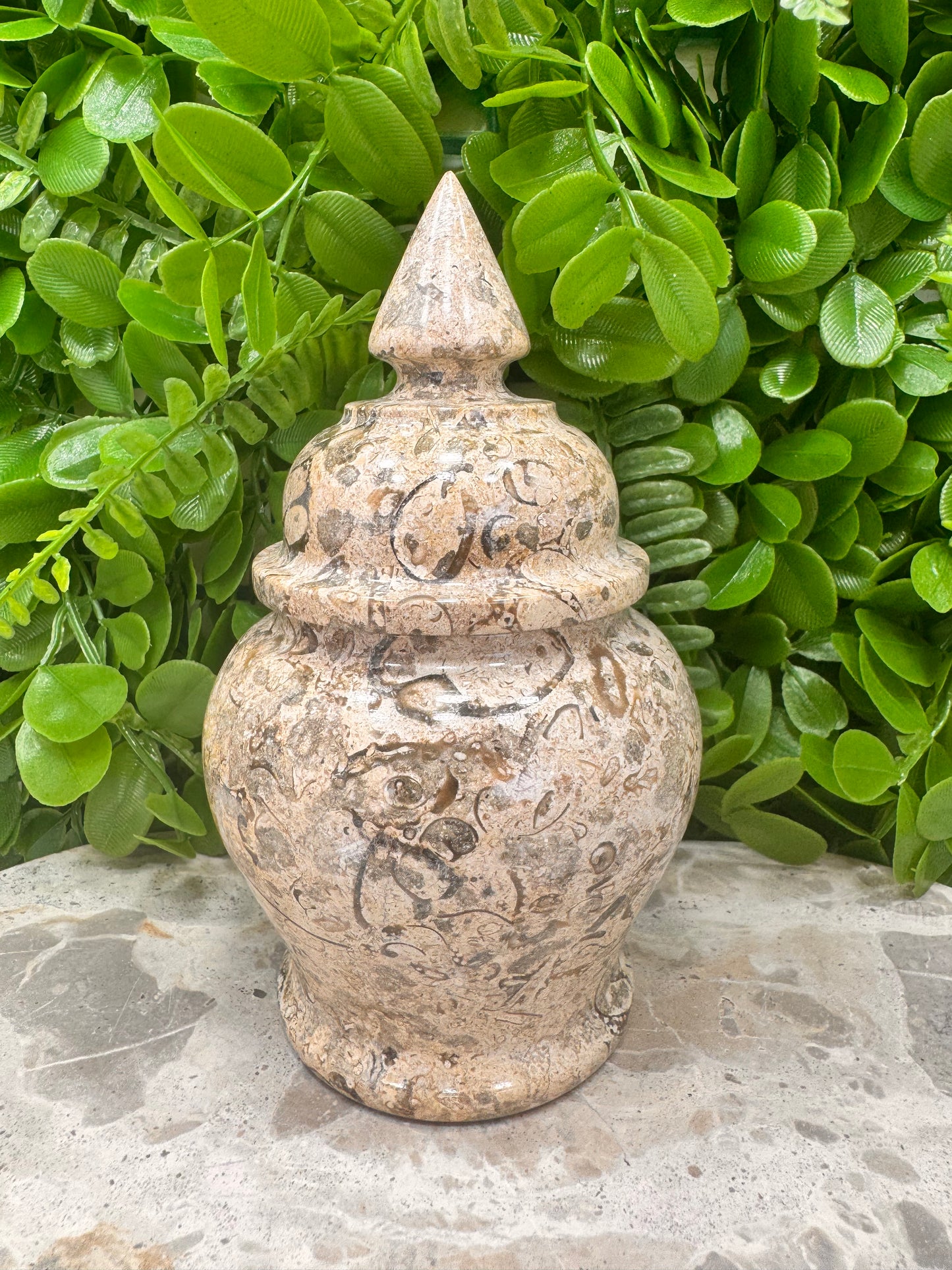 Shell Jasper Jar with Lid 598g