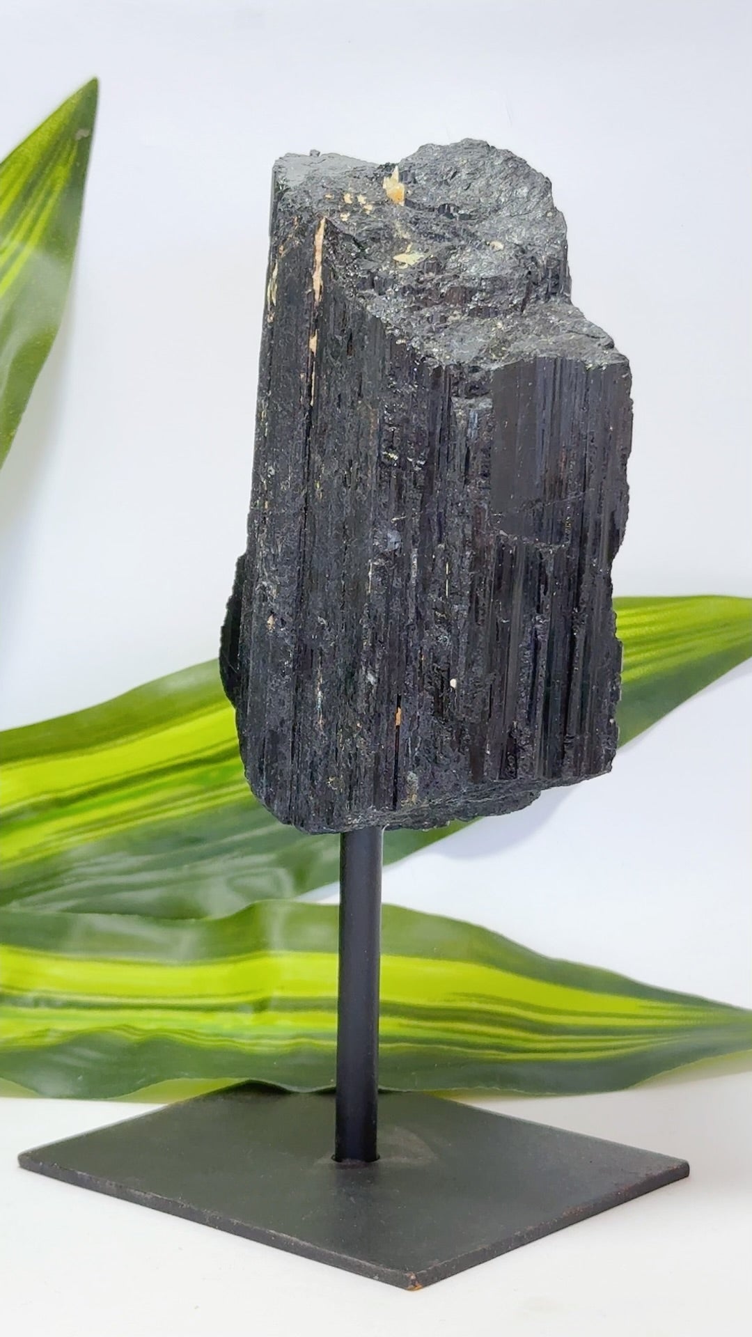 Tourmaline on Stand 1114g