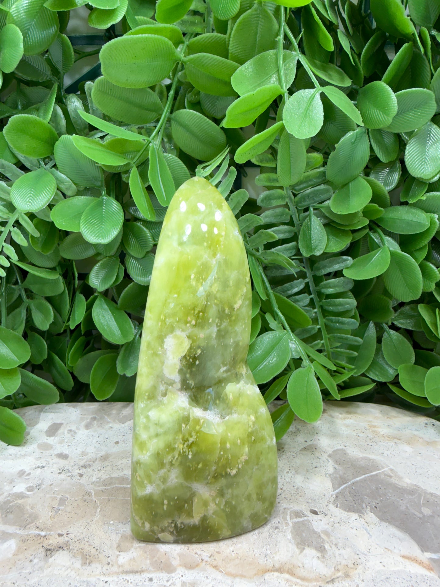 Lizard Serpentine Freeform 218g