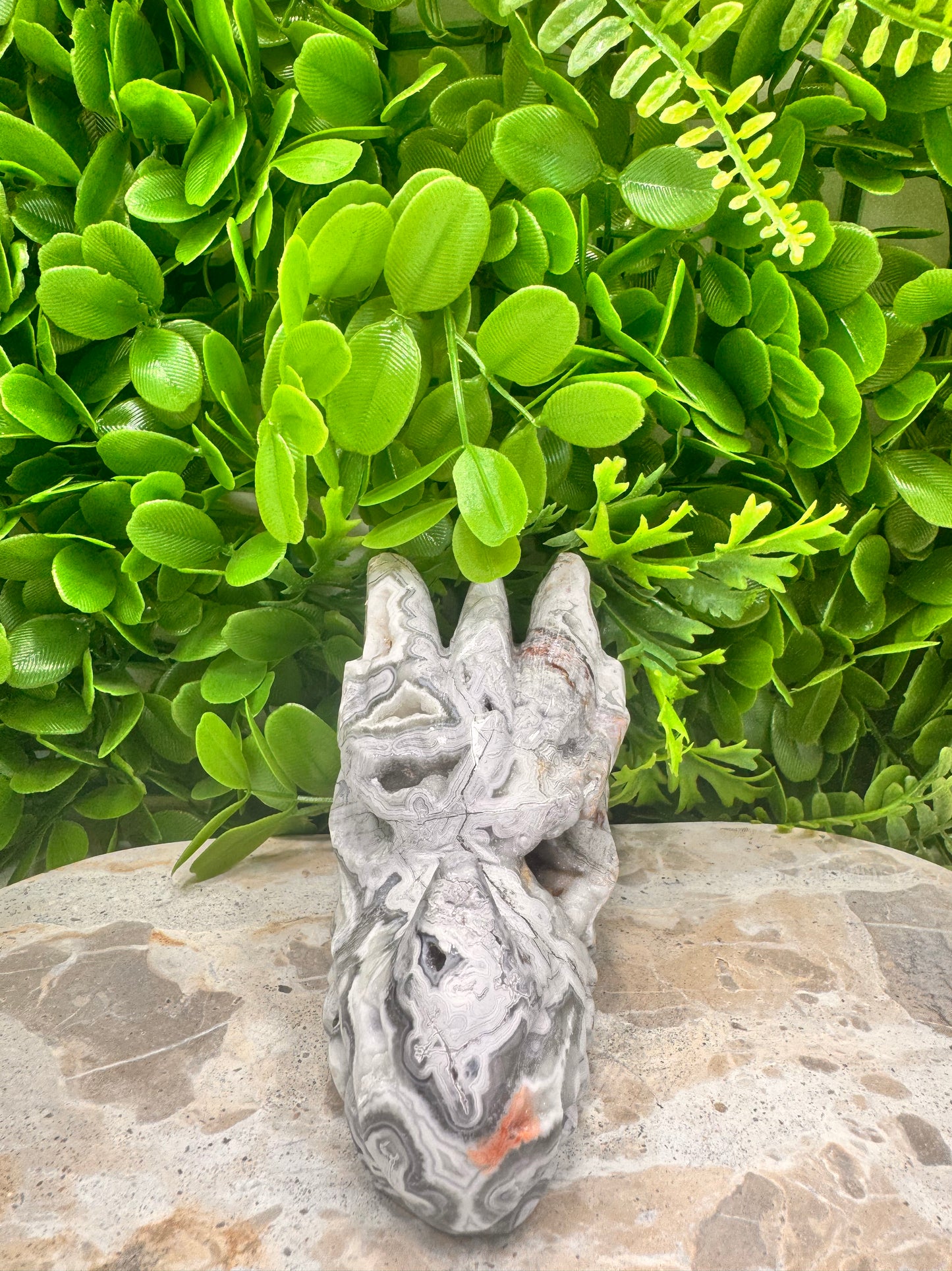 Mexican Agate Druzy Dragon Skull 620g