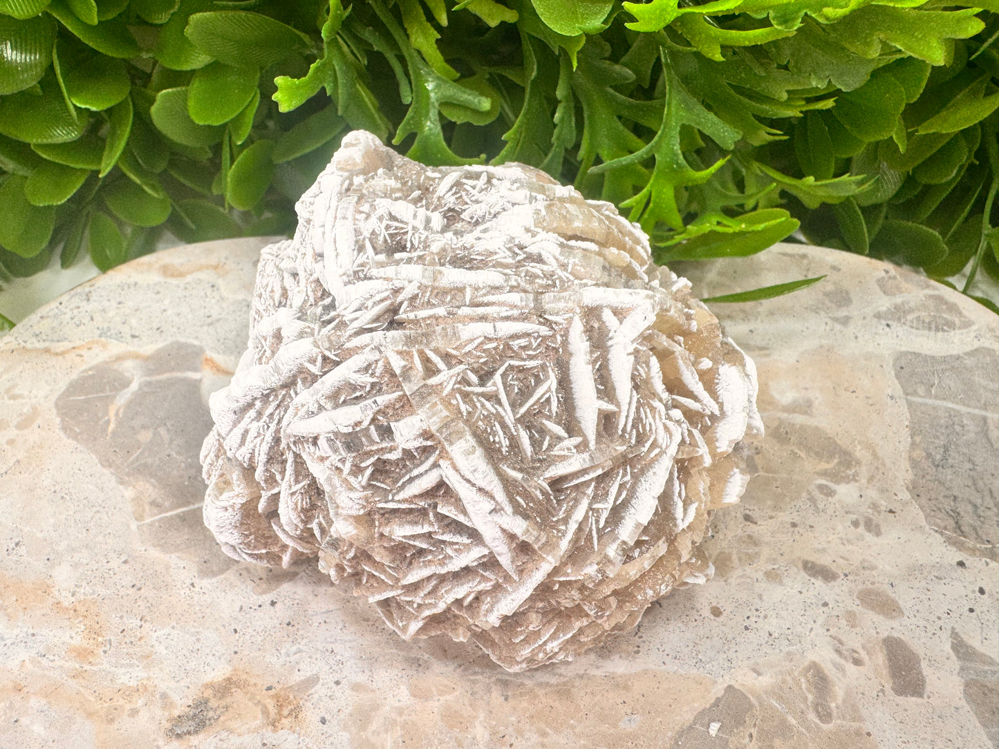 Desert Rose Selenite Cluster 504g