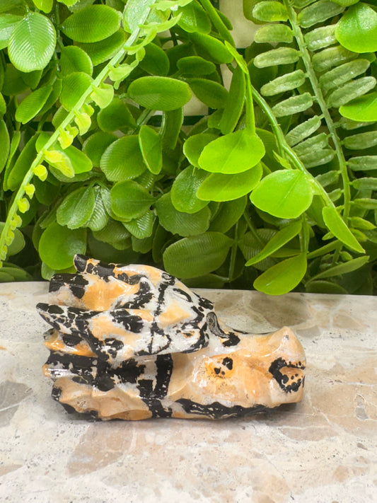 Picture Jasper Dragon Skull 122g