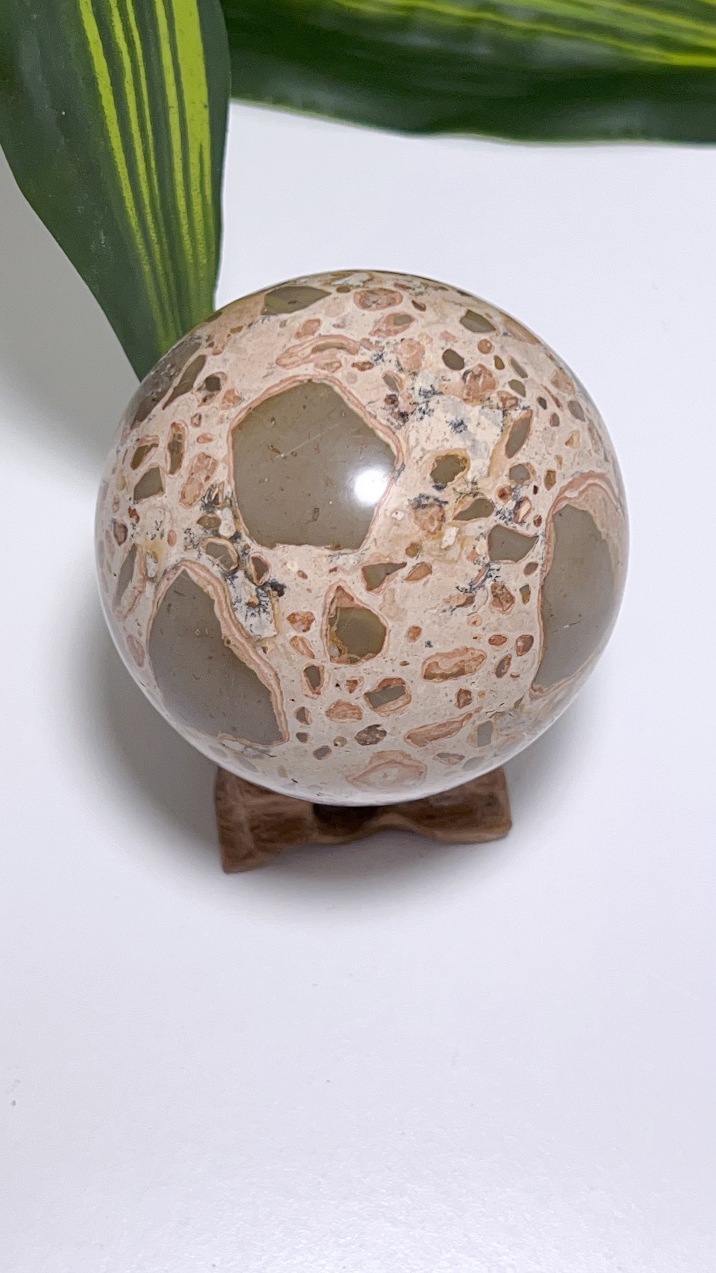 Leopardite Sphere 370g