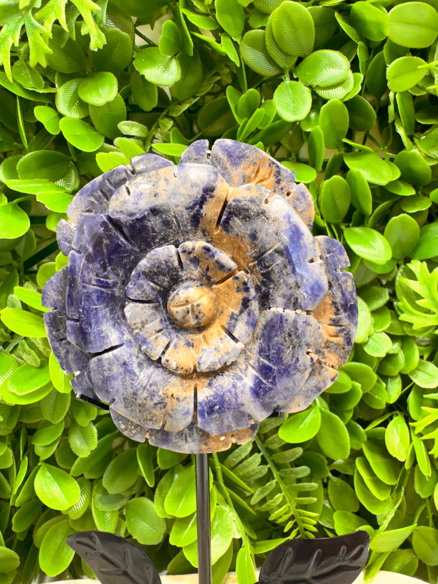 Sodalite Flower 264g