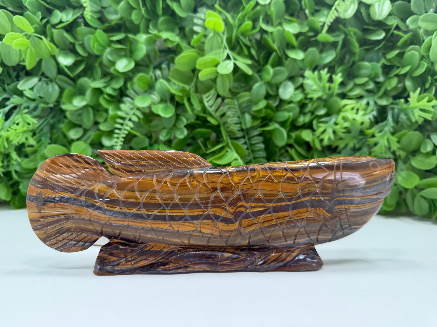 Tiger Eye/Tiger Ore Fish 756g