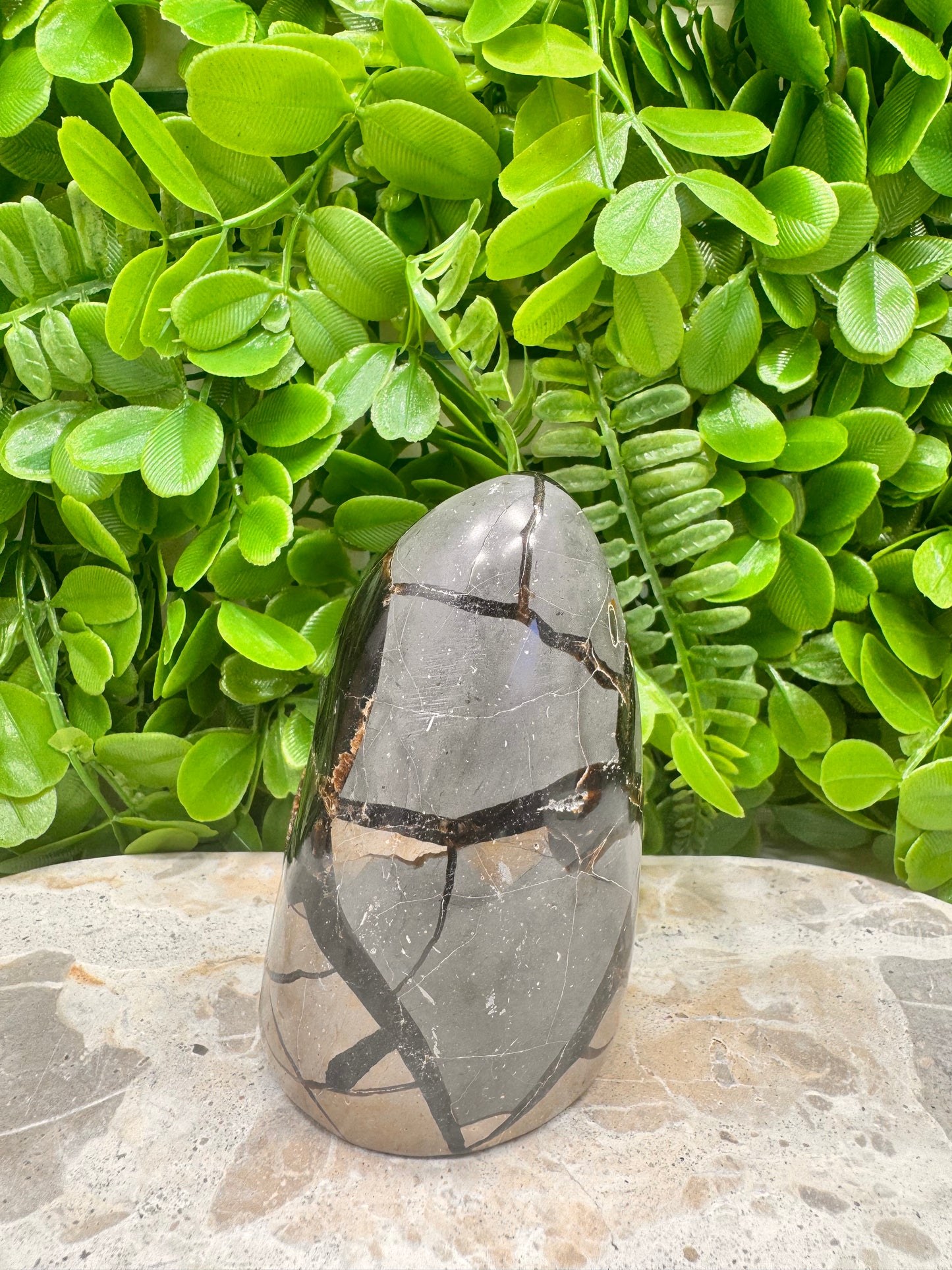 Septarian Freeform 570g