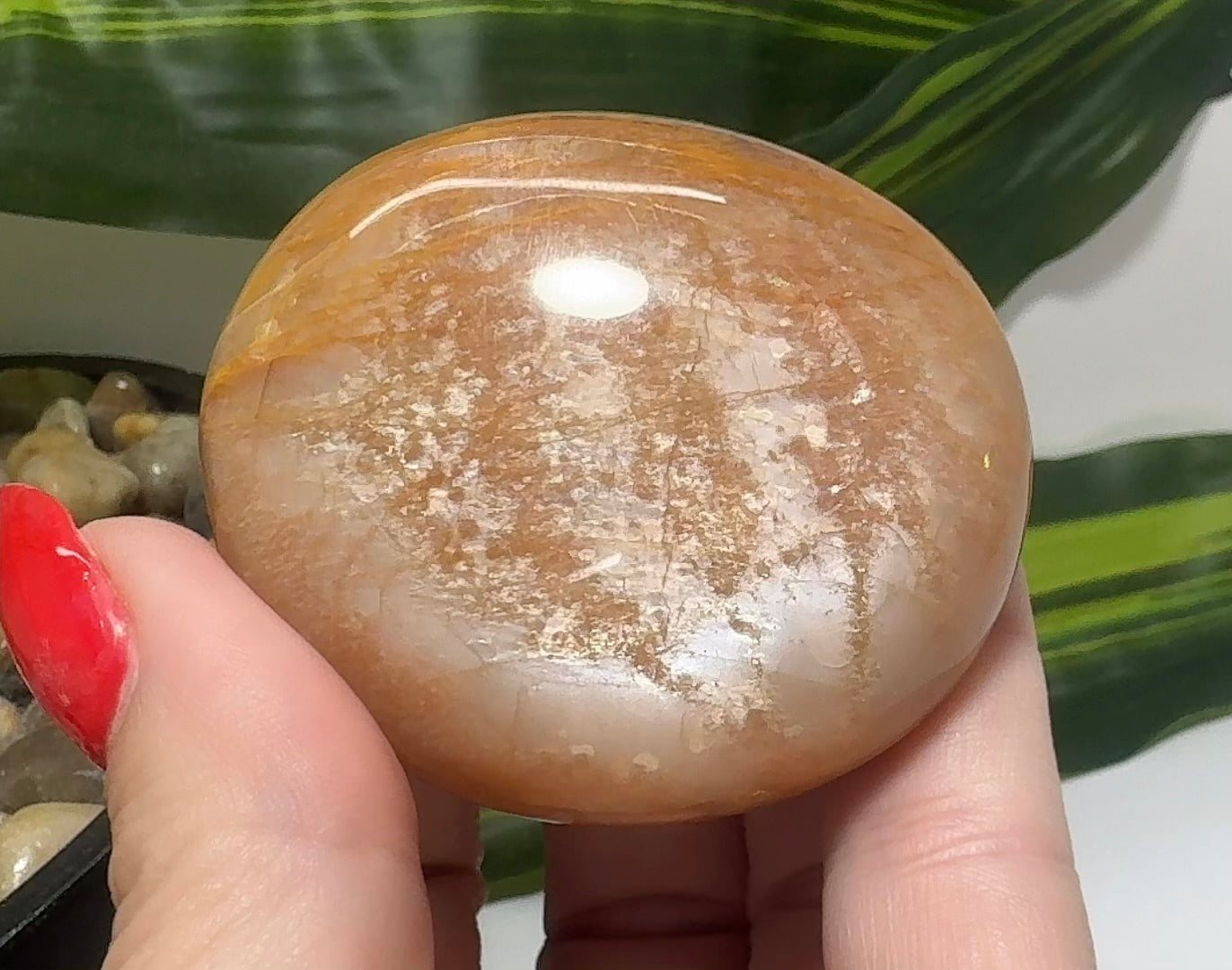 Peach Moonstone  Palm Stone 98g