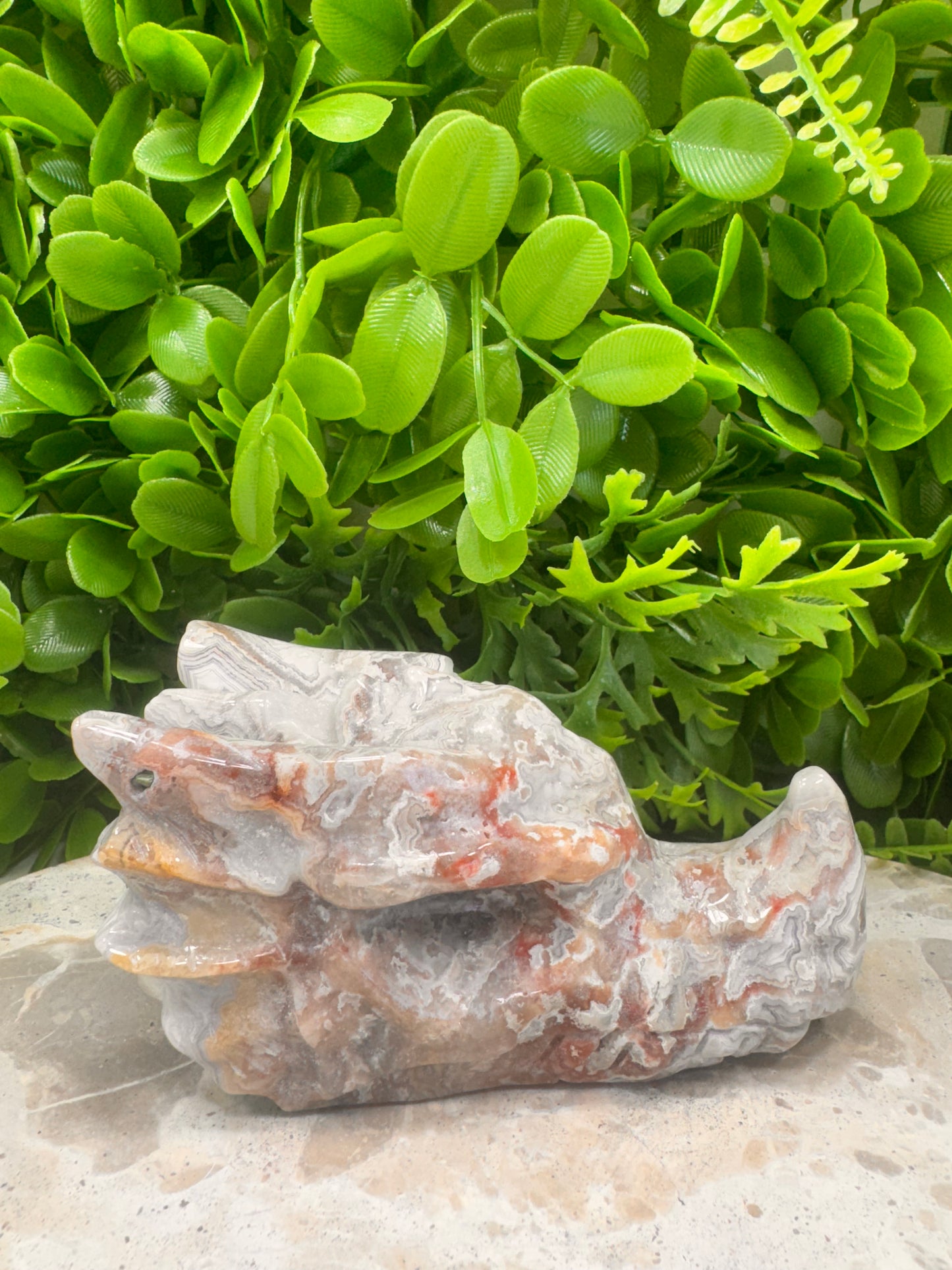 Mexican Agate Druzy Dragon Skull 570g