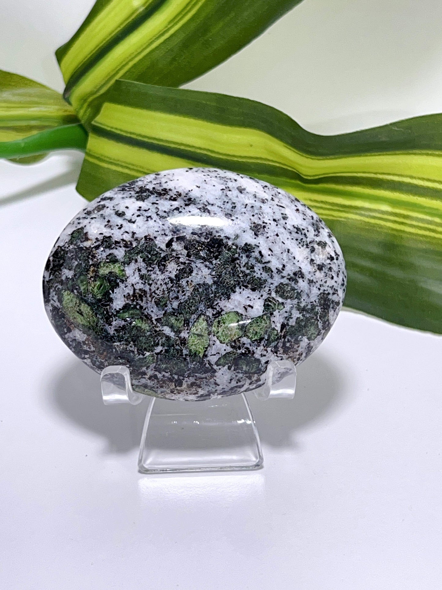 Diopside Palm Stone 144G