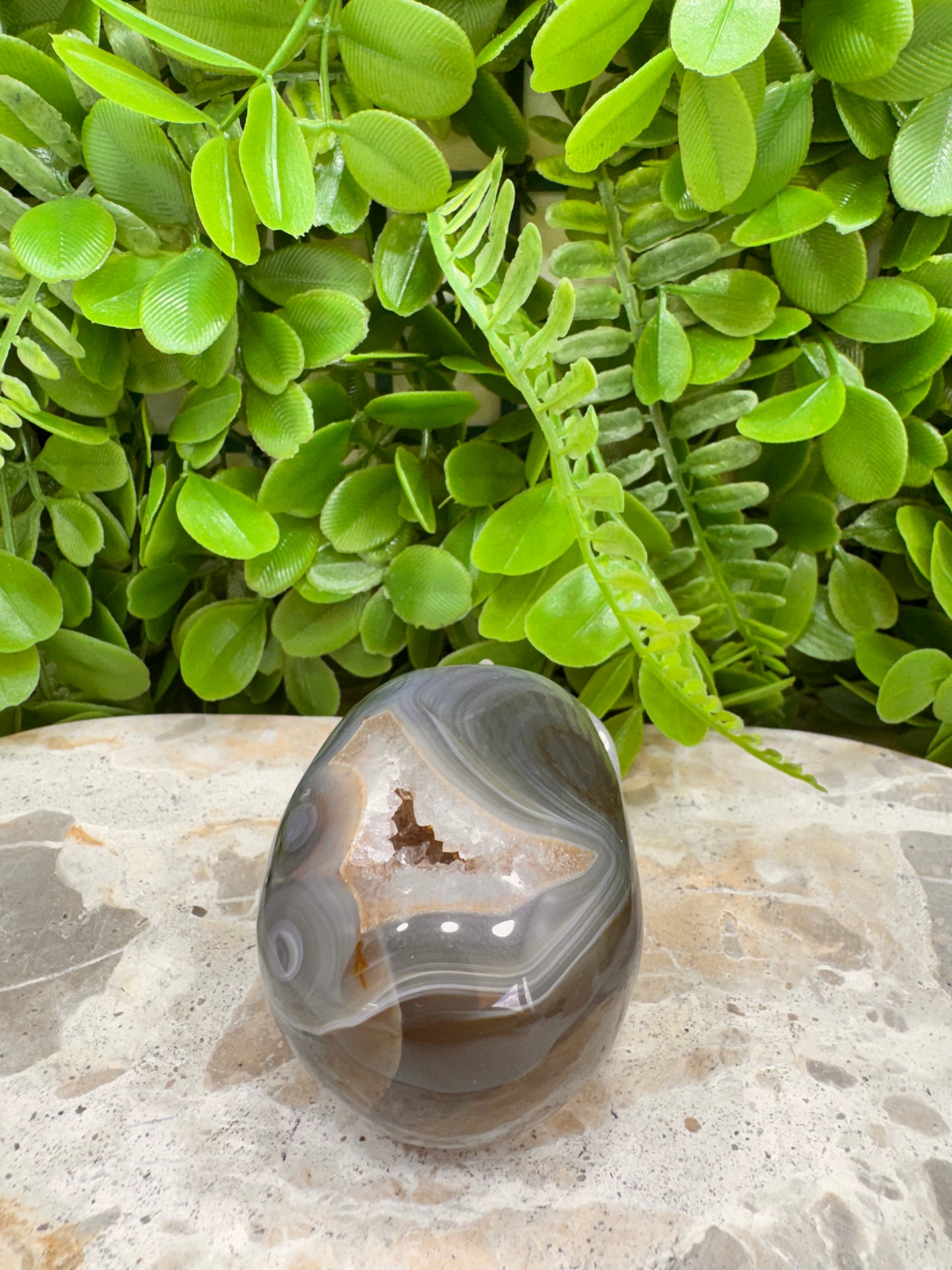 Agate Druzy Skull 262g