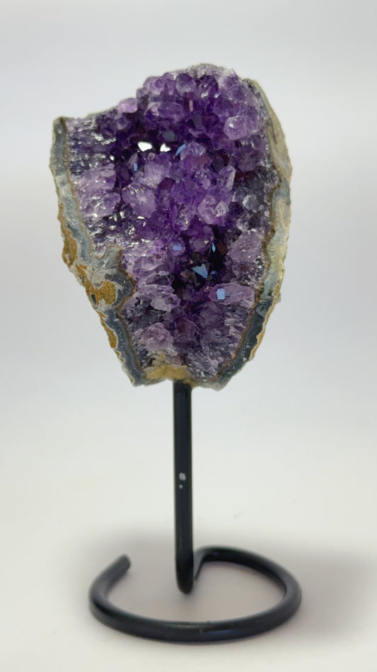 Amethyst on Stand 370g