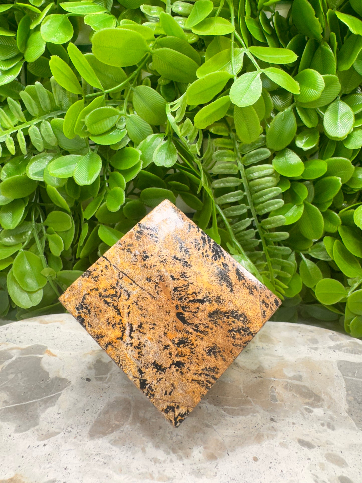 Picture Jasper Cube 546g