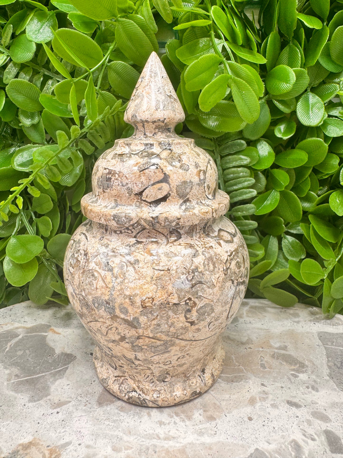 Shell Jasper Jar with Lid 598g