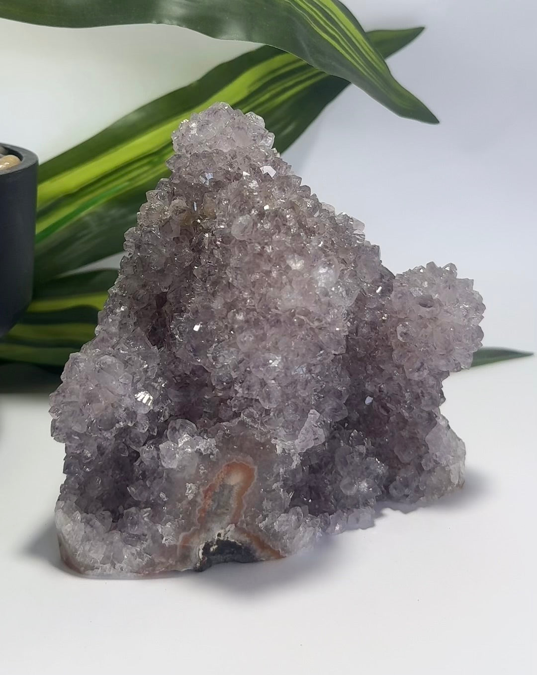 Amethyst Cluster Freeform 1.1kg