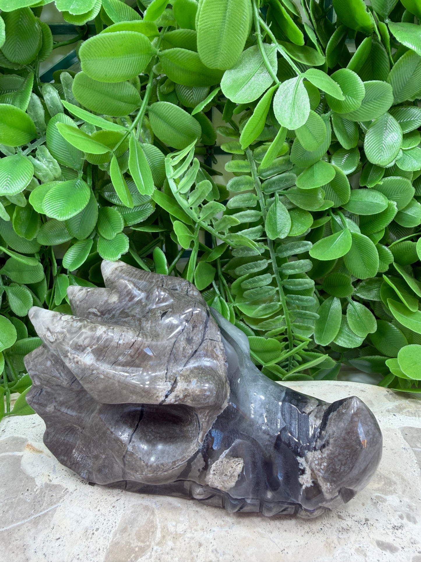 Volcanic Agate Dragon Skull 610g