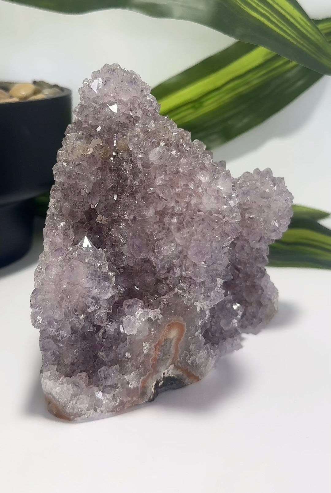 Amethyst Cluster Freeform 1.1kg