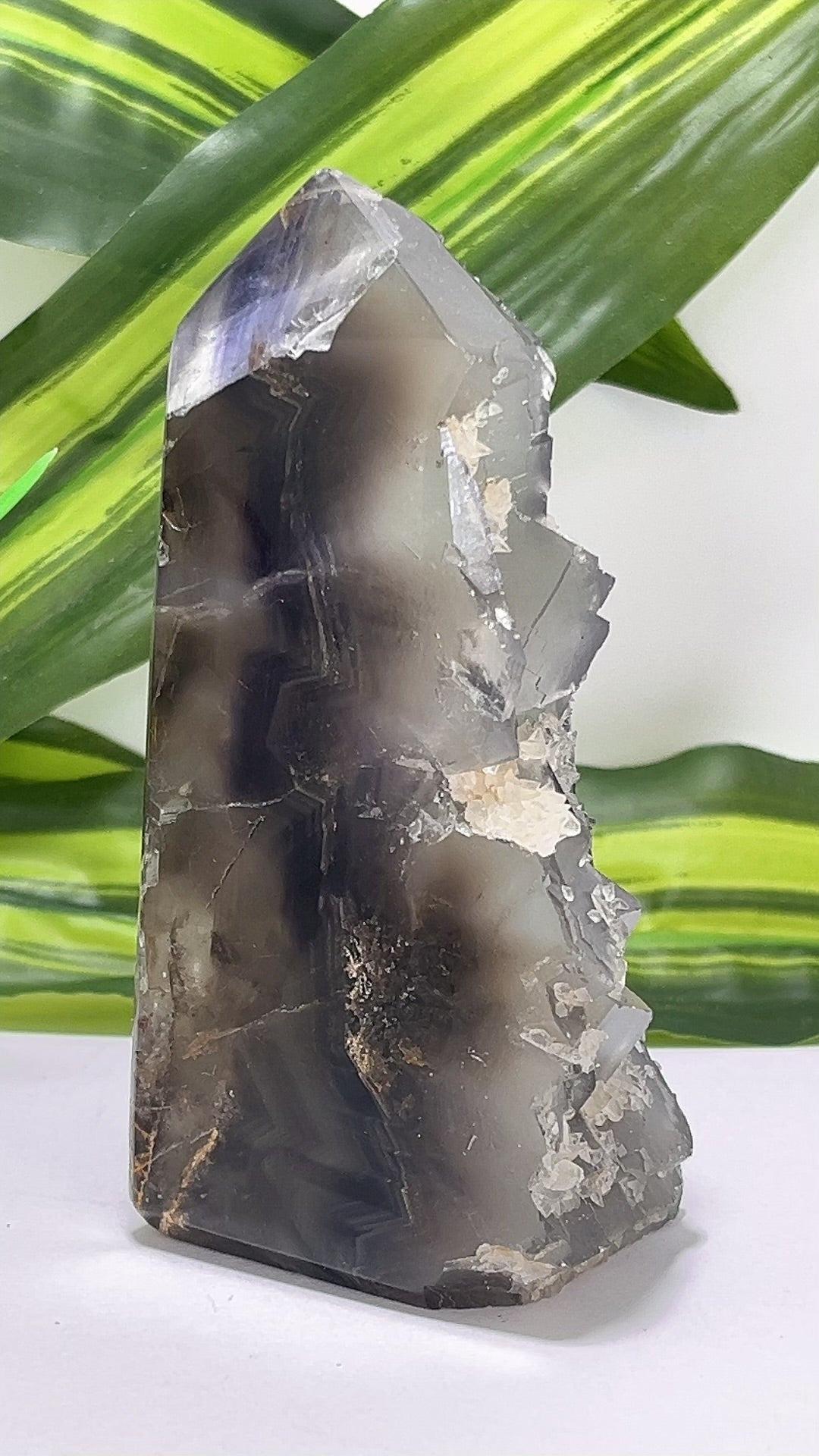 Fluorite Tower Freeform 480g