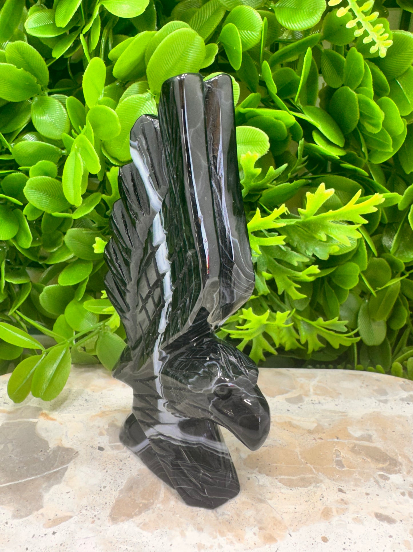Black Banded Sardonyx Eagle 298g