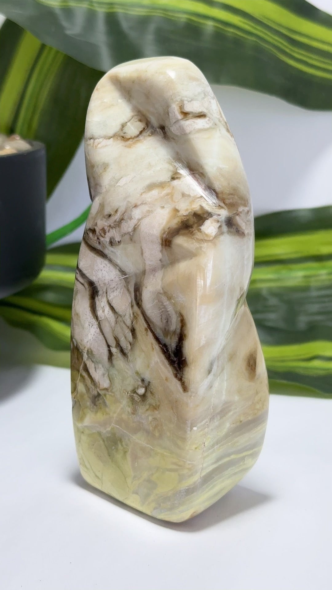 Cream Serpentine Freeform 496g