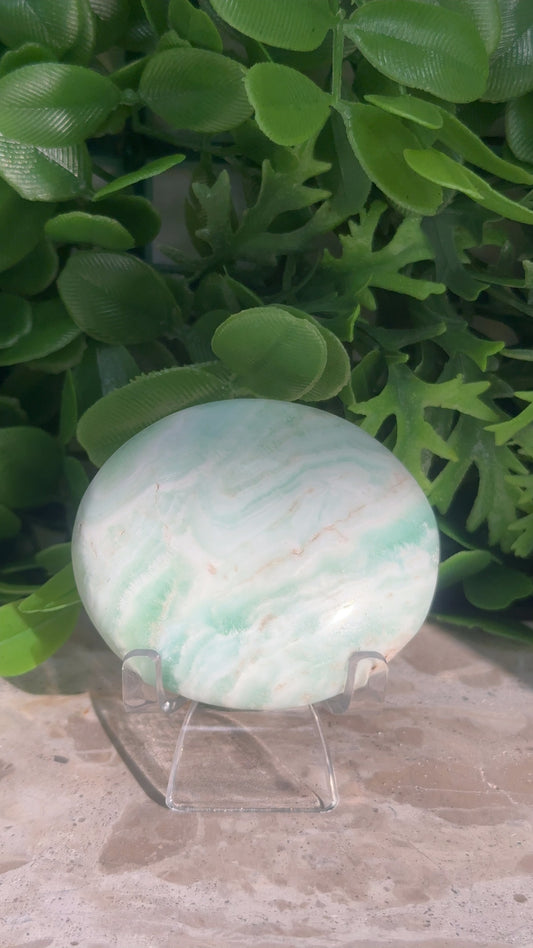 Blue Caribbean Calcite Palm Stone 132g
