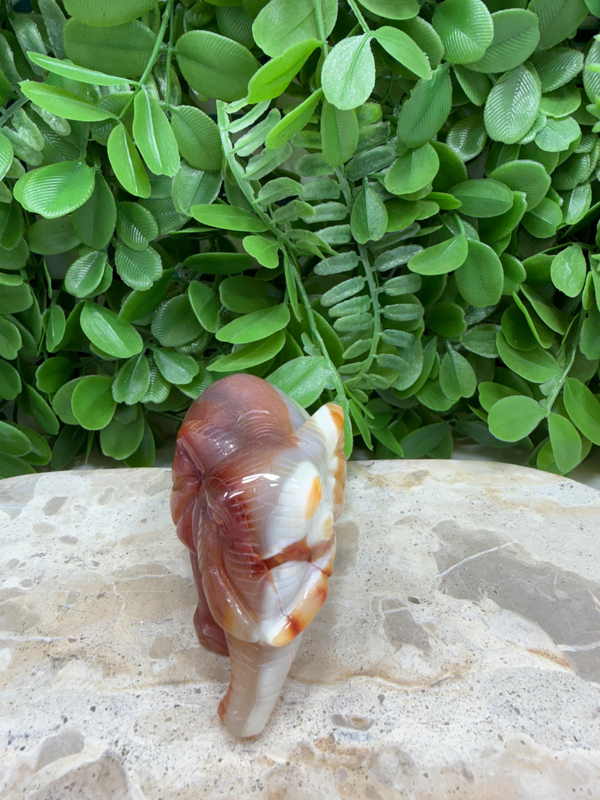 Carnelian Elephant 226g | Motivation • Confidence • Creativity