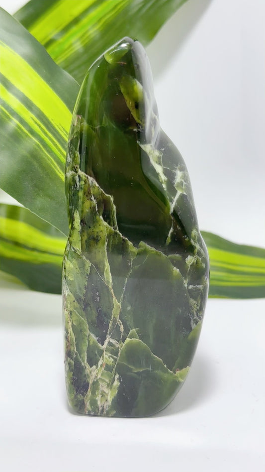Nephrite Freeform 330g