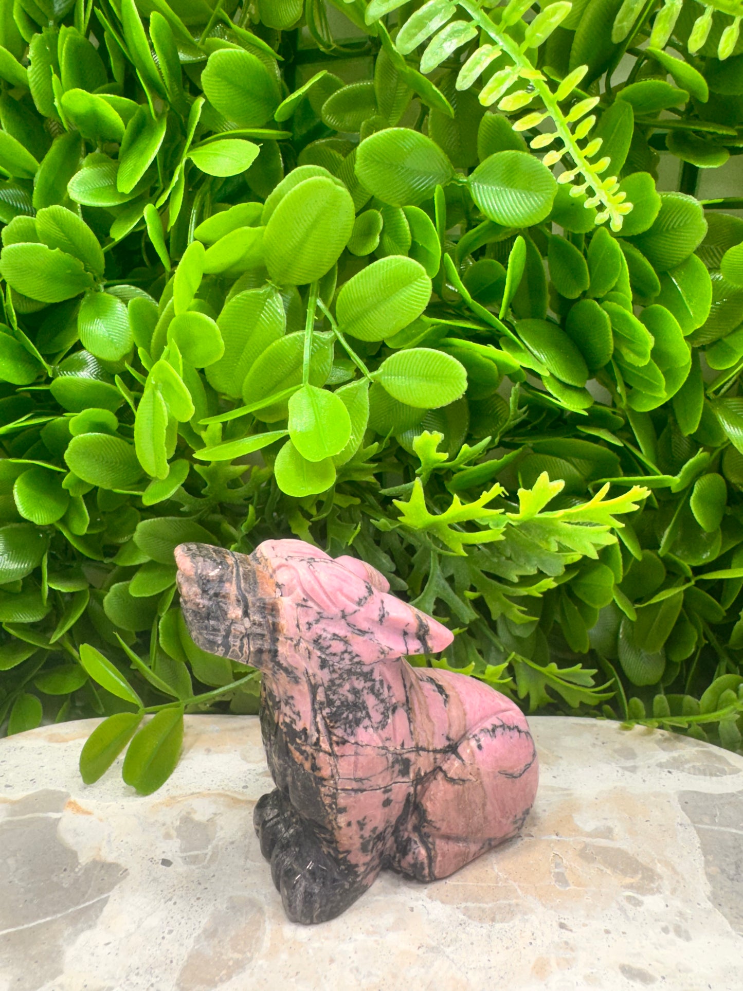 Rhodonite Wolf 358g