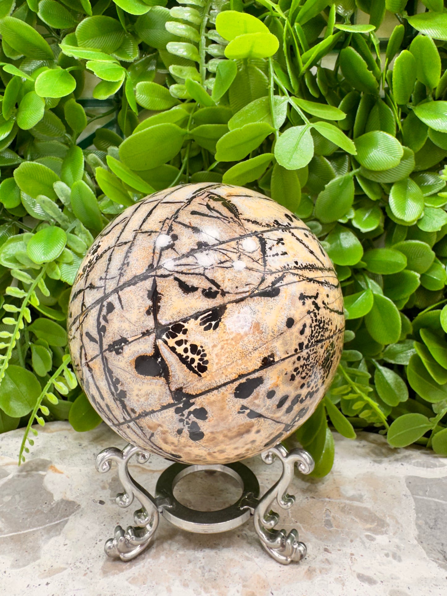 Picture Jasper Sphere 1128g