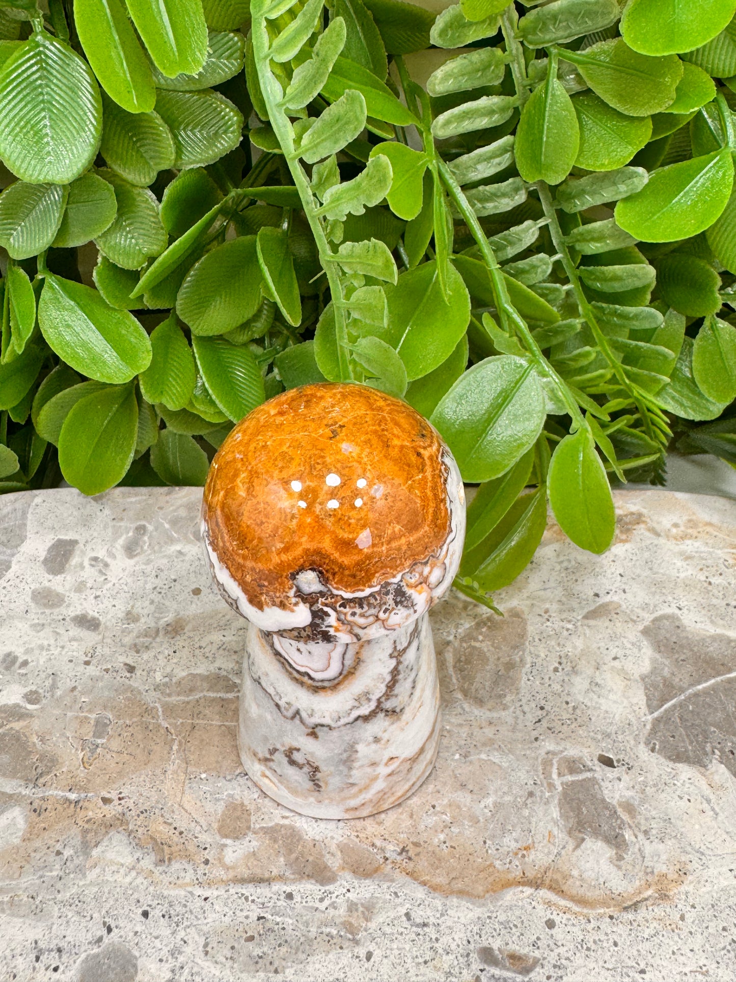Dendritic Ocean Root Jasper mushroom 149g