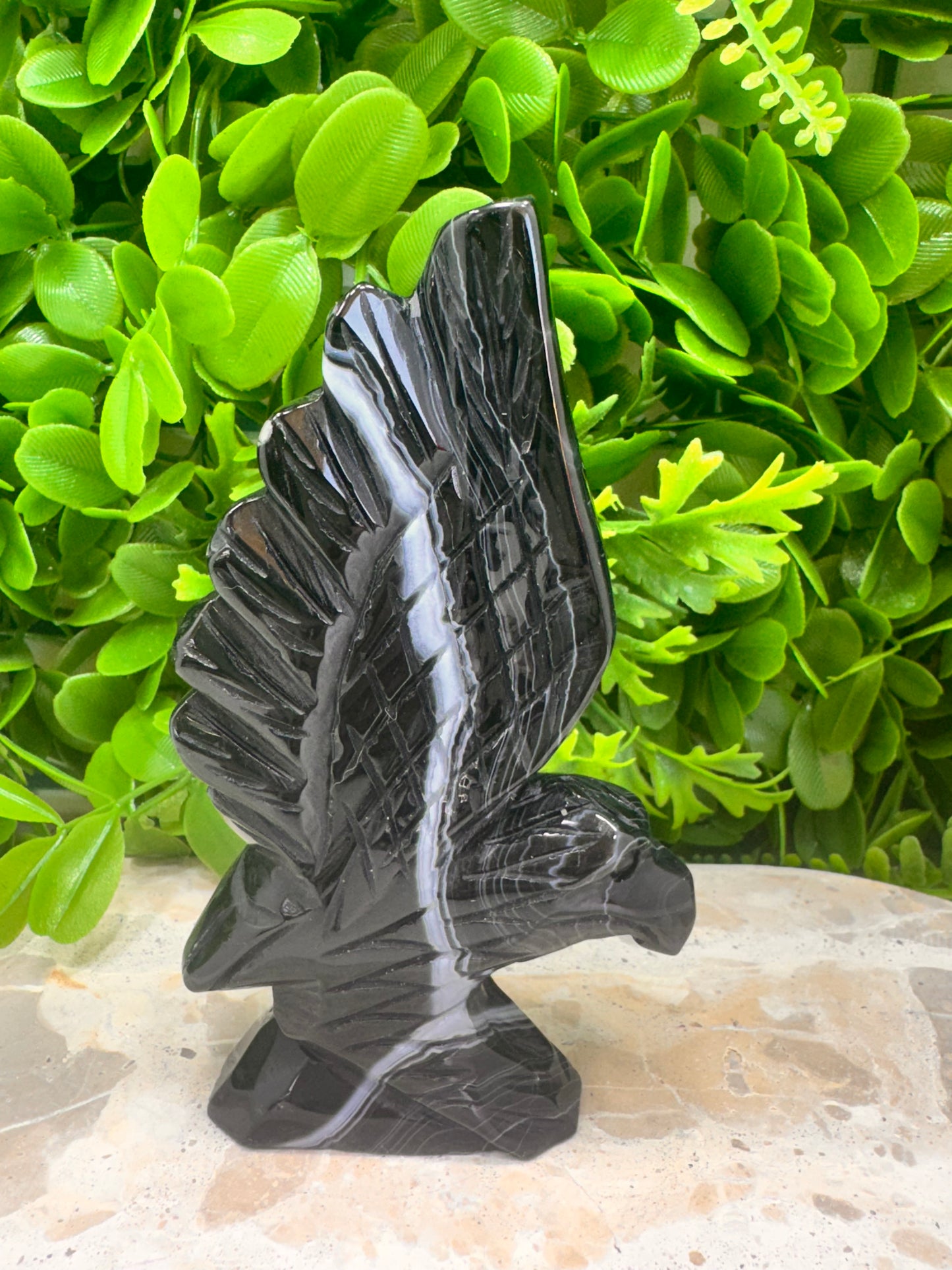 Black Banded Sardonyx Eagle 298g