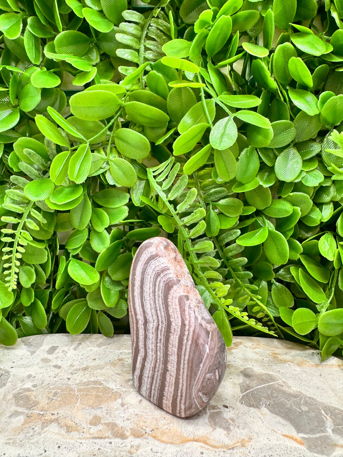Chocolate Aragonite Freeform 204g