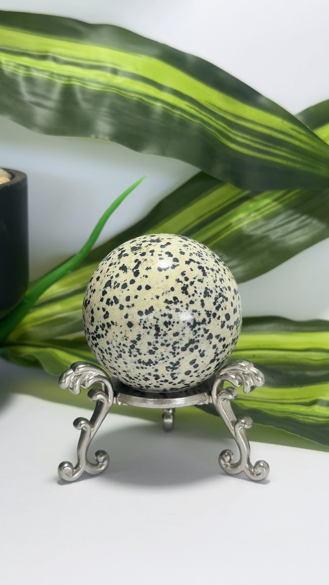 Dalmation Jasper Sphere 236g