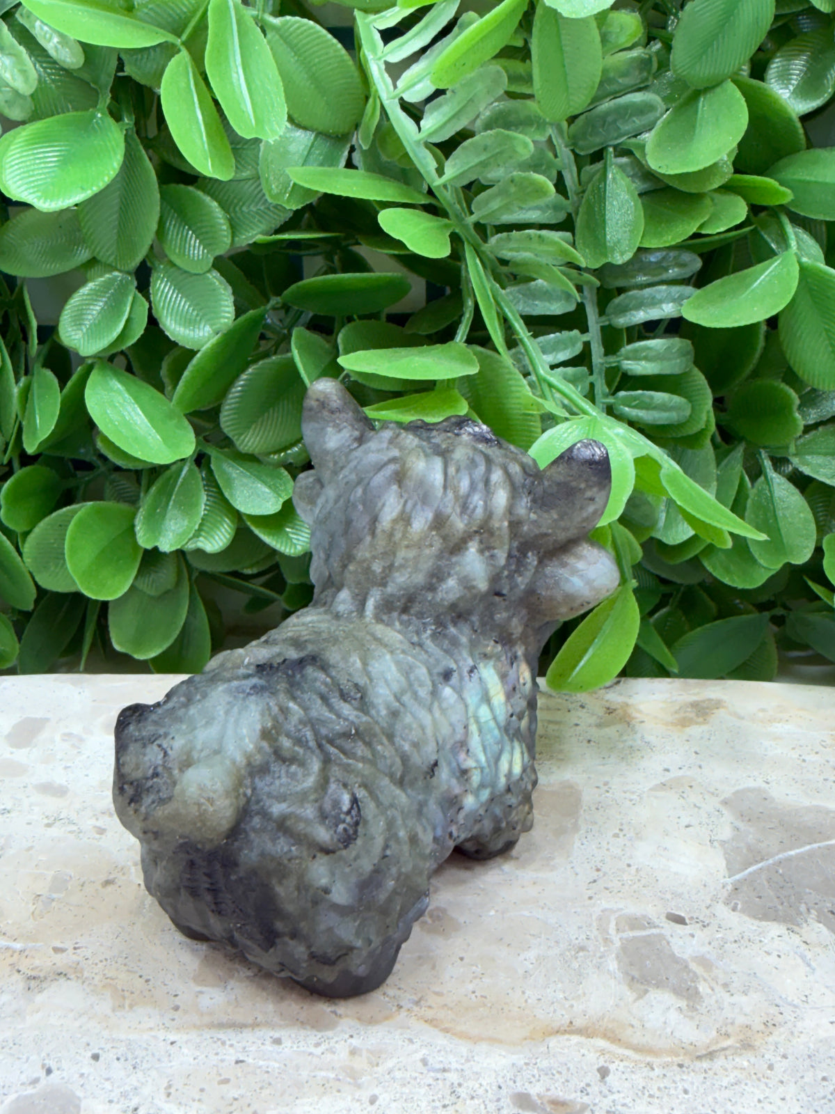 Labradorite Highland Cow 274g | Protection • Intuition • Transformation