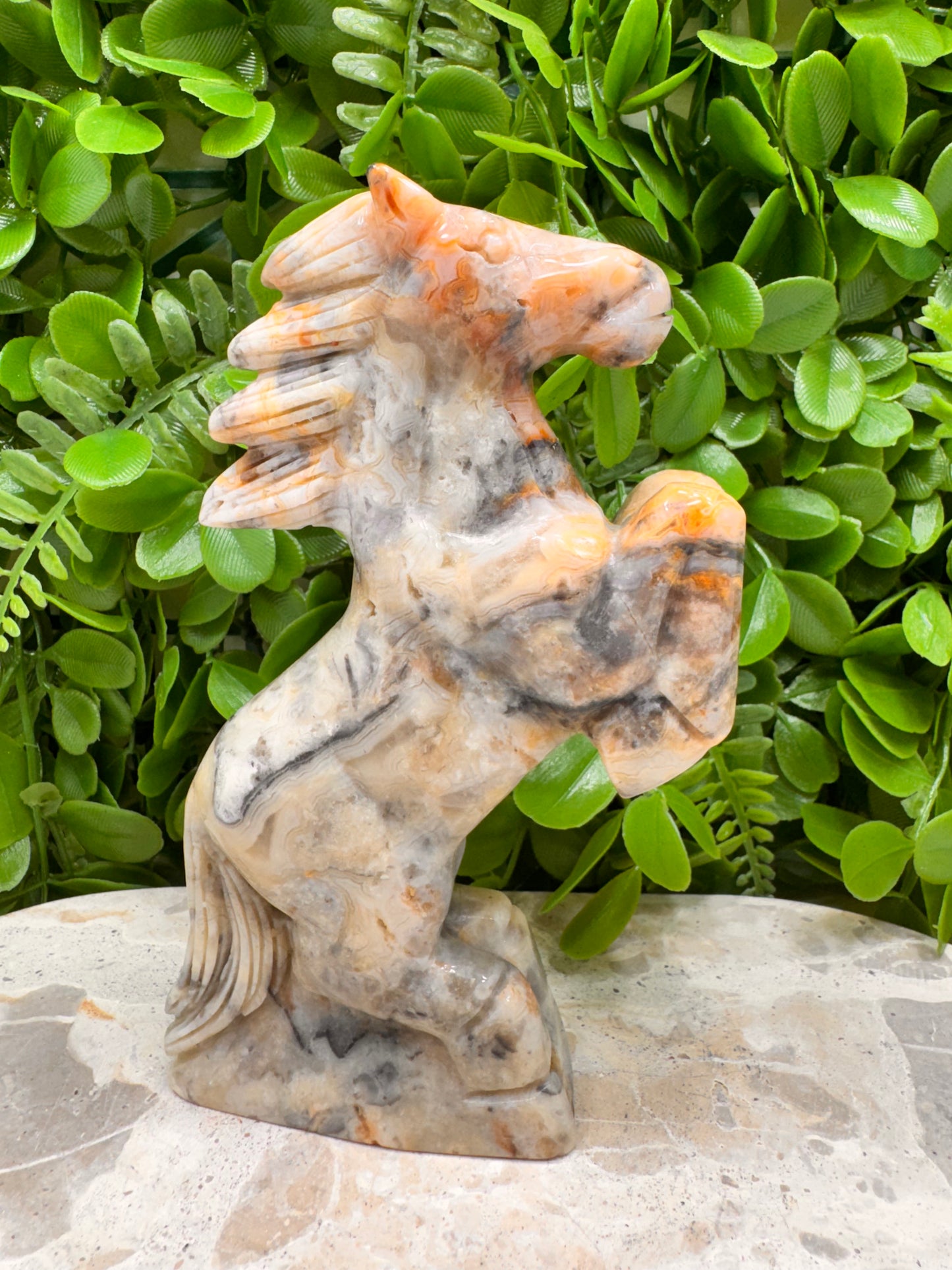 Crazy Lace Agate Horse 410g