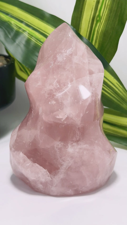 Rose Quartz Flame 1266g