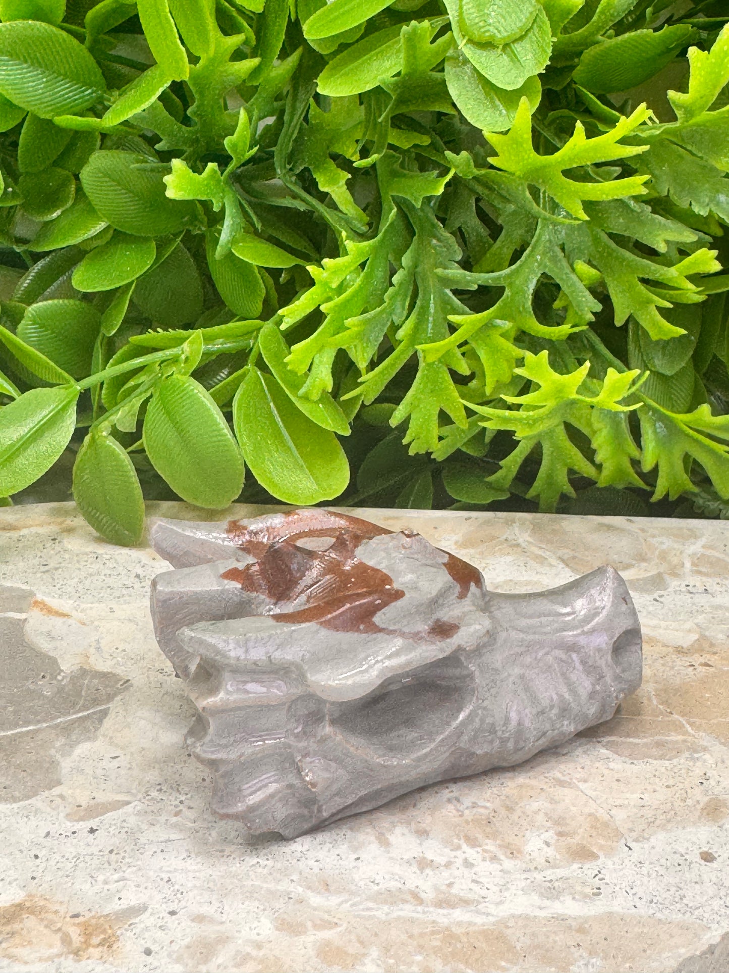 Jasper Dragon Skull 122g