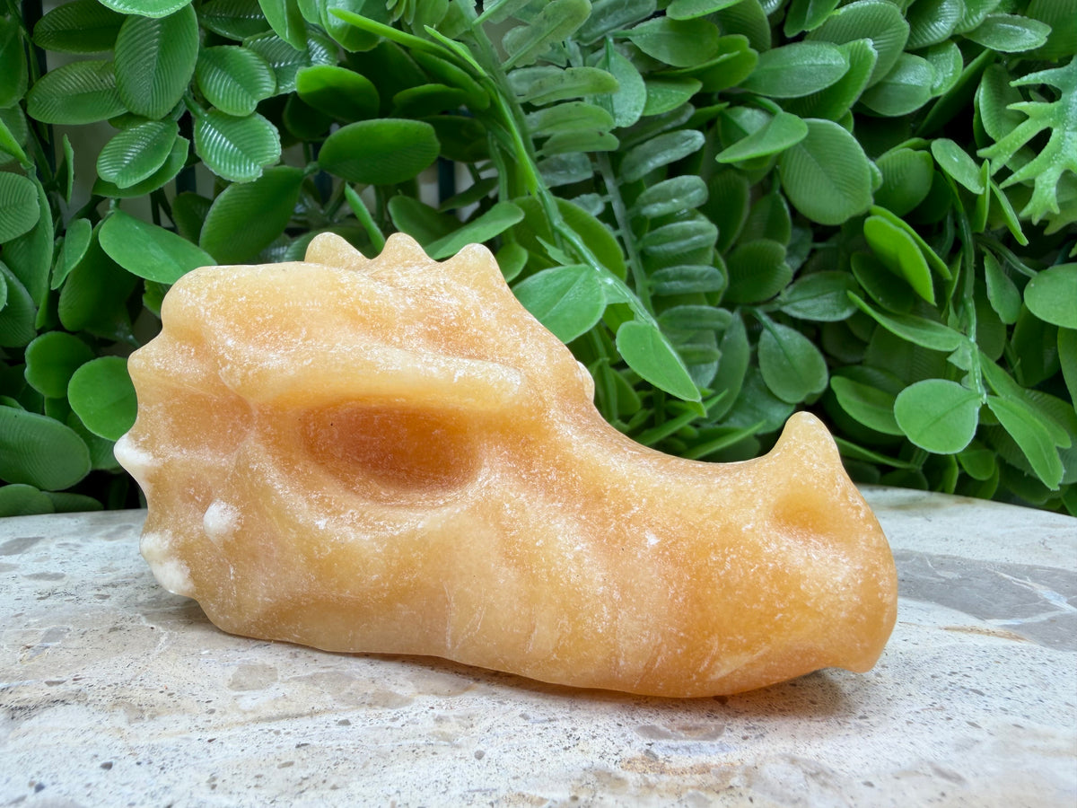Orange Calcite Dragon Skull 238g