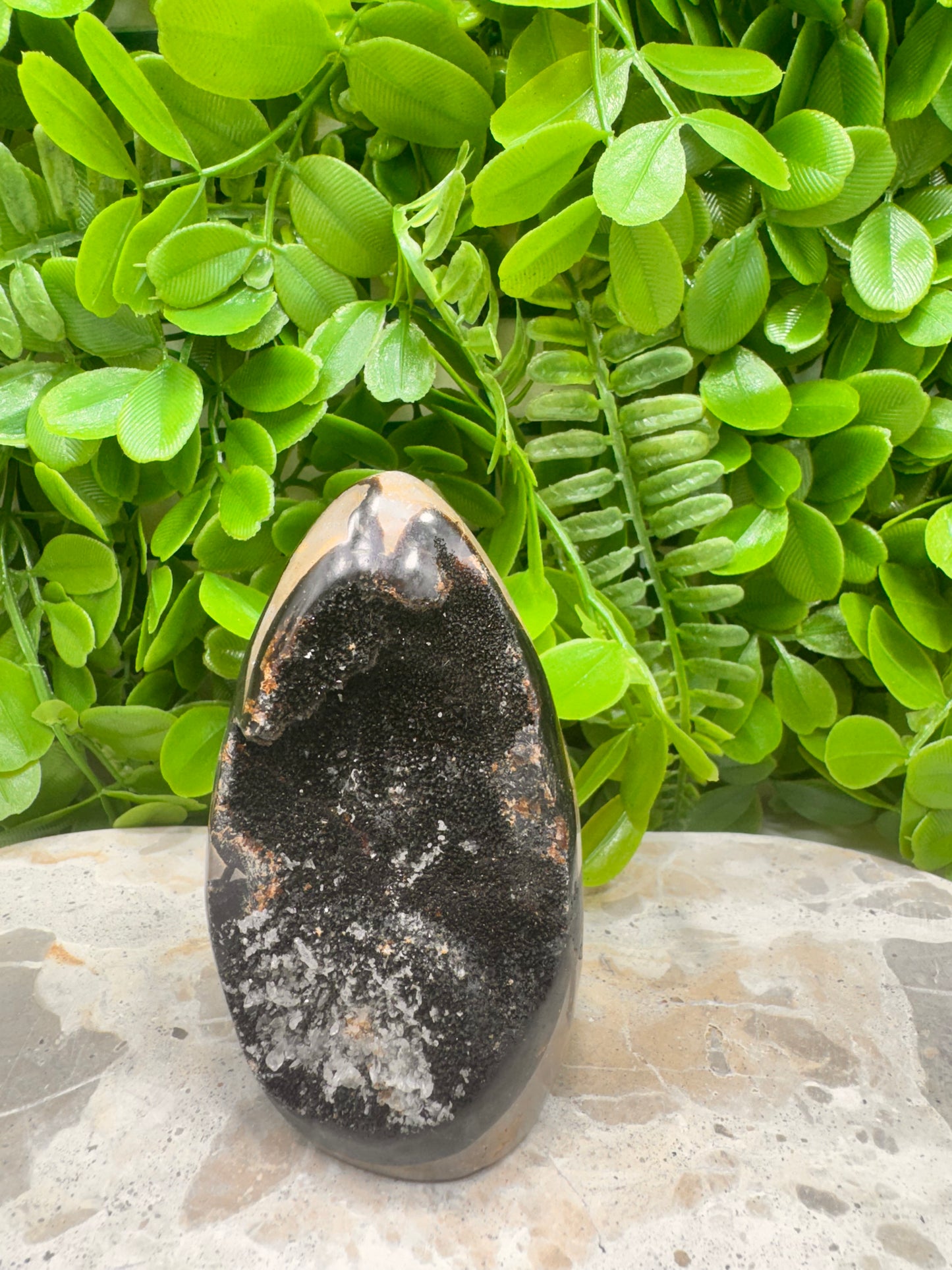 Septarian Freeform 316g