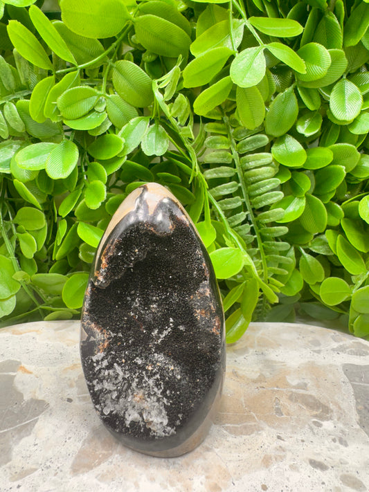 Septarian Freeform 316g