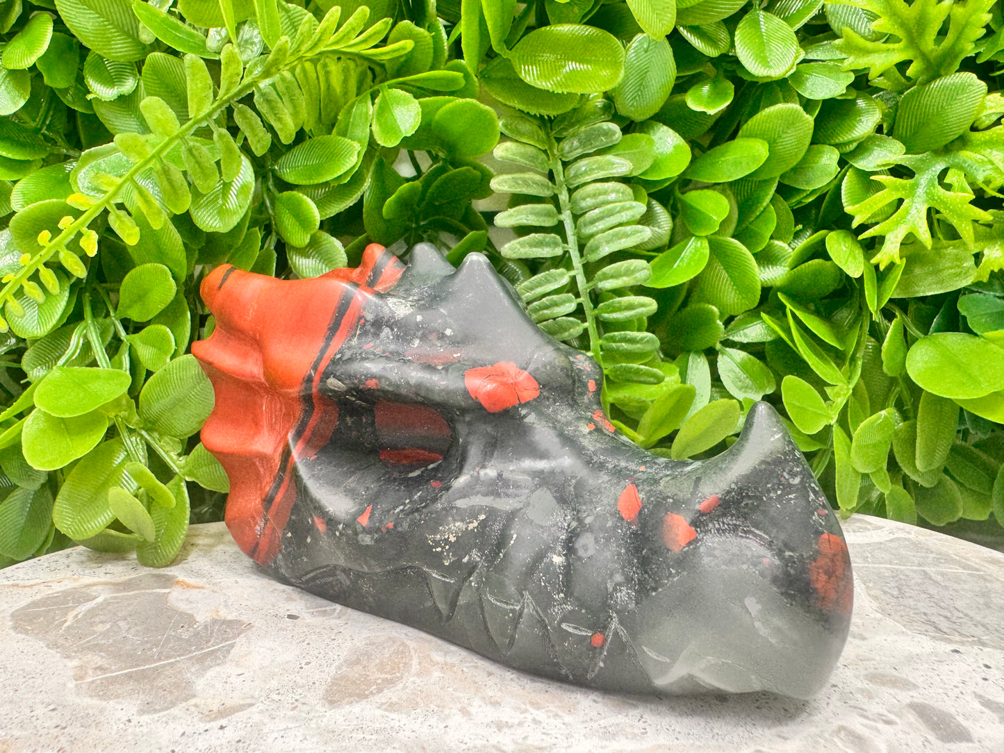 African Bloodstone Dragon Skull 878g