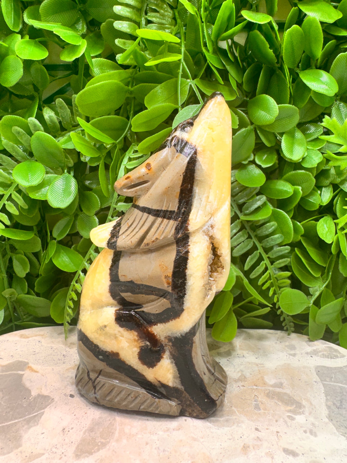 Septarian Dragon Stone 579g