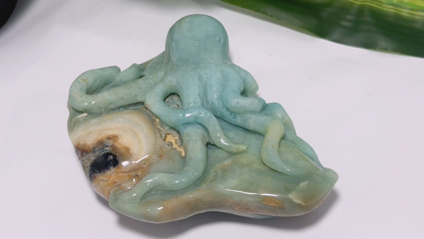 Amazonite Octopus Carving 600g