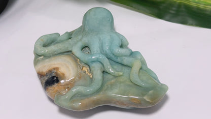Amazonite Octopus Carving 600g
