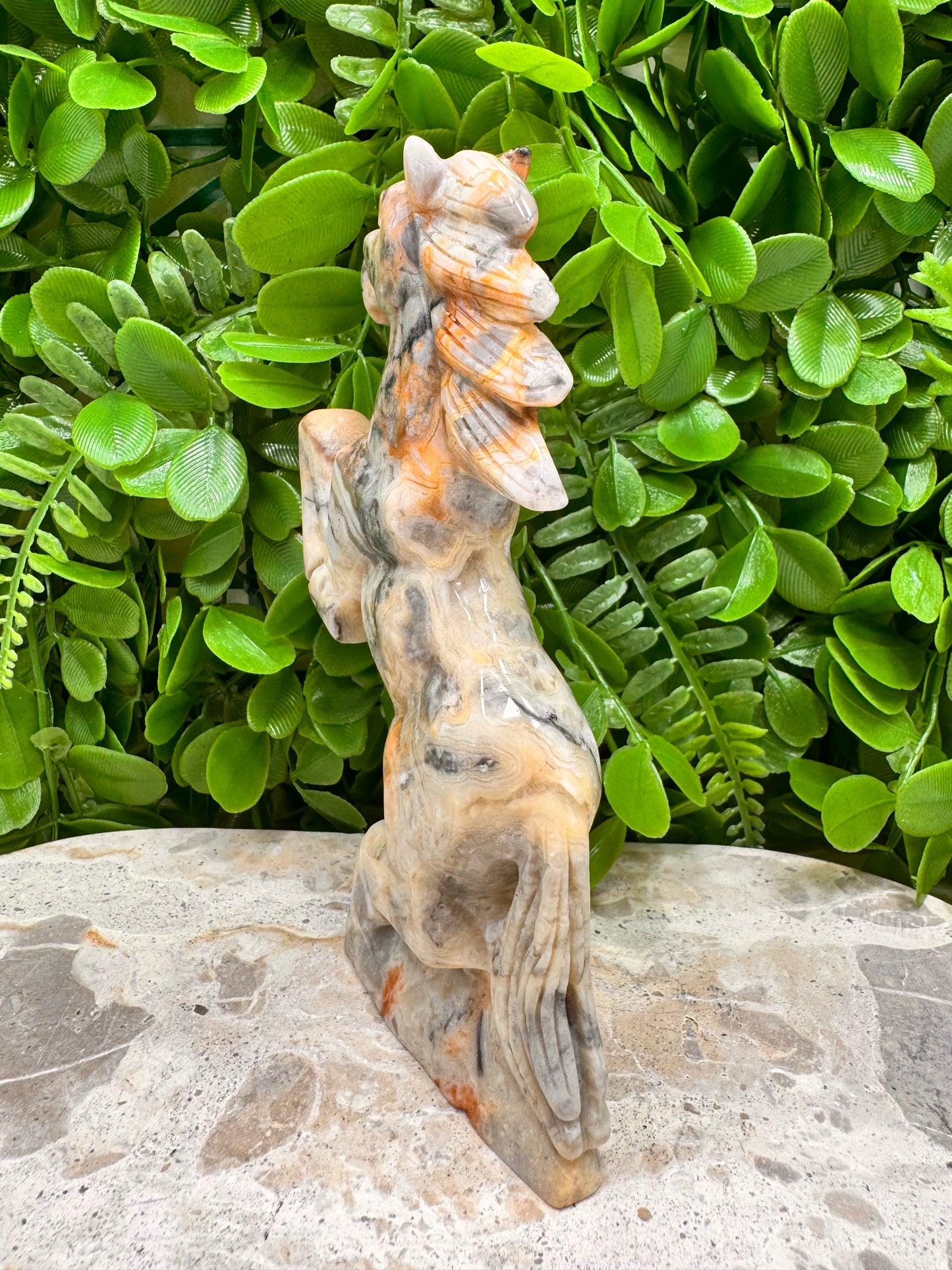 Crazy Lace Agate Horse 410g