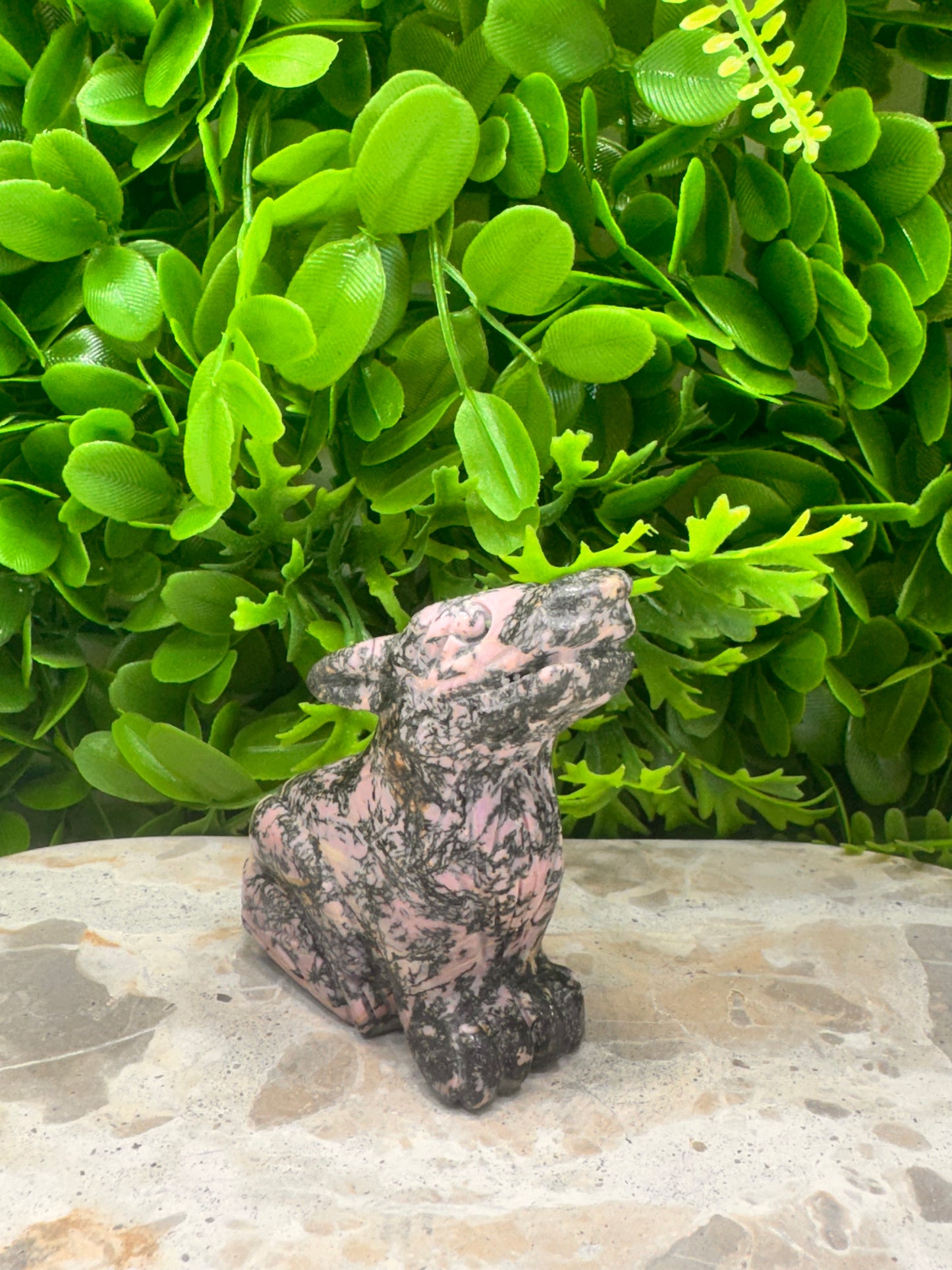 Rhodonite Wolf 338g